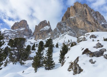 trentino-montagna-bosco-neve-inverno-vacanze