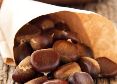 Sagre d'autunno