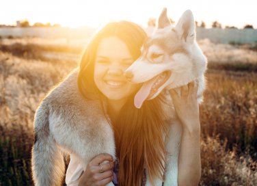 Diabete nei cani