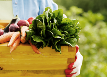 La frutta e verdura di stagione a giugno