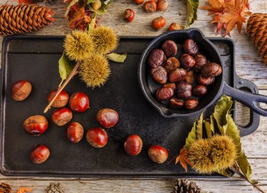 castagne, cucina, ricette