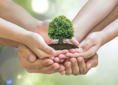 Festa degli alberi: la data e la storia