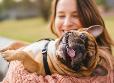 sogno, cane, abbraccio