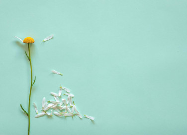 Frasi sull'amore non corrisposto