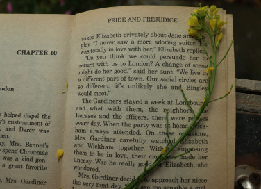Orgoglio e pregiudizio di Jane Austen