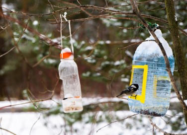 mangiatoia uccelli fai da te bottiglia plastica, mangiatoia uccelli fai da te
