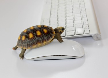 pc lento avvio, pc lento avvio cosa fare