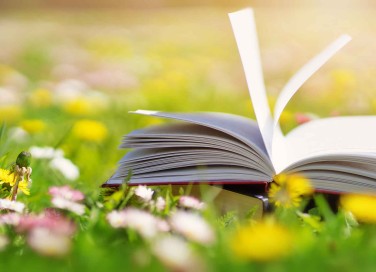 Libri sulla sostenibilità ambientale