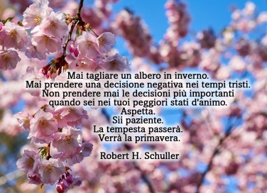 equinozio primavera 2022 immagini frasi, equinozio primavera immagini frasi, equinozio primavera immagini, equinozio primavera frasi 
