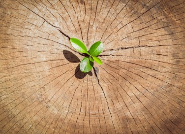 Primavera simbolo di rinascita: cosa fare per ripartire in 7 mosse