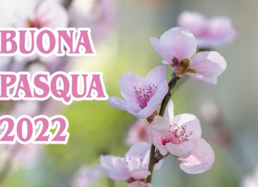 buona pasqua 2022 immagini, buona pasqua 2022, buona pasqua immagini