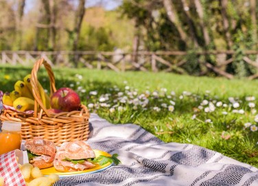 pic nic con i bambini