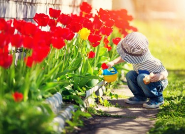 sognare, primavera, interpretazione