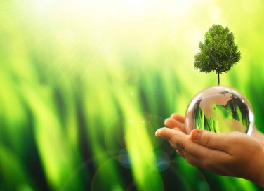Ecologia
