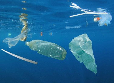Giornata mondiale degli Oceani