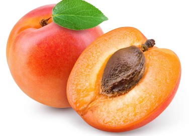 Albicocche