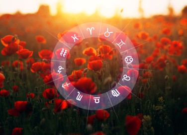fiori segni zodiacali, fiore segno zodiacale