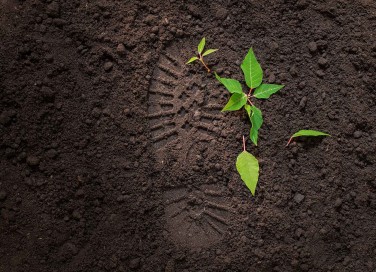 Impronta ecologica