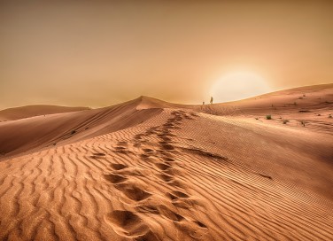Sognare nel deserto