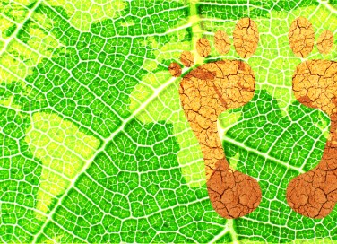 impronta ecologica cos’è, impronta ecologica come si calcola 