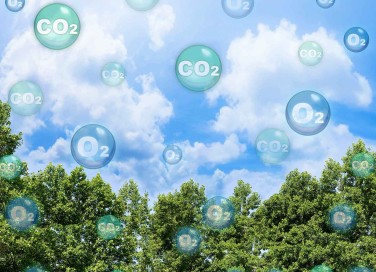 Aumento di CO2 nell'aria