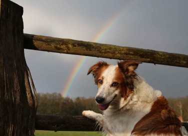 La leggenda del  Ponte dell'Arcobaleno
