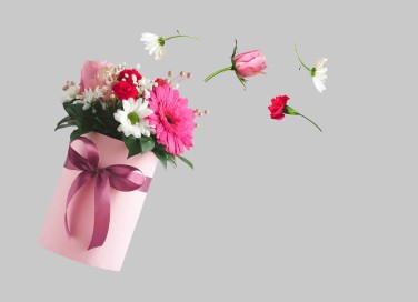 Pianta da regalare alla sposa