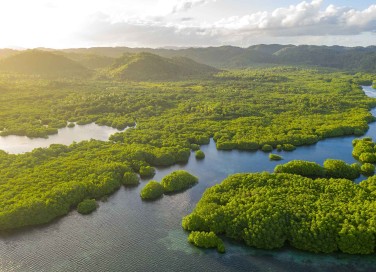 Amazzonia