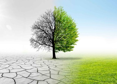 Cambiamenti climatici nella storia