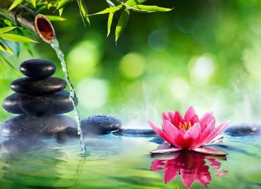 Giardino zen