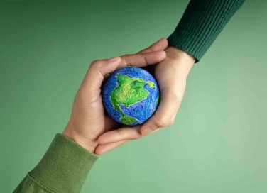 Film sull'ecologia