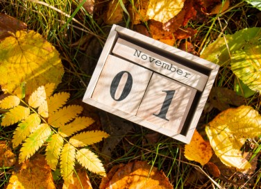 calendario novembre 2022 da stampare, calendario novembre 2022