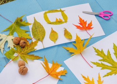 cosa fare con le foglie d'autunno, foglie autunno idee