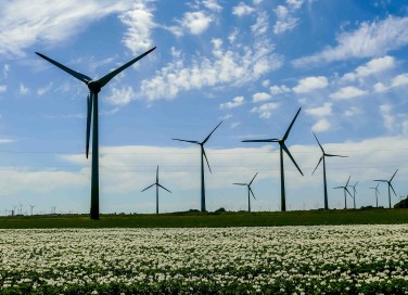 Energia eolica
