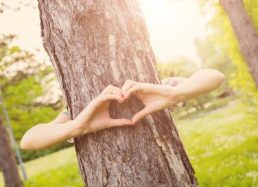 buoni propositi per l'ambiente, buoni propositi ecologici