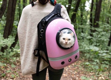 Come scegliere il trasportino cani e gatti