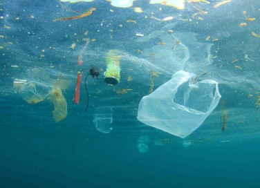 5 modi per salvare il mare