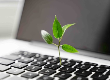 Cos'è la sostenibilità digitale