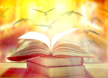 che cos'è la giornata internazionale della poesia, giornata internazionale poesia, giornata mondiale poesia