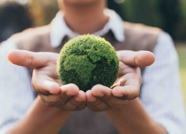 Ecologia