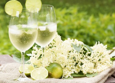 Hugo Cocktail