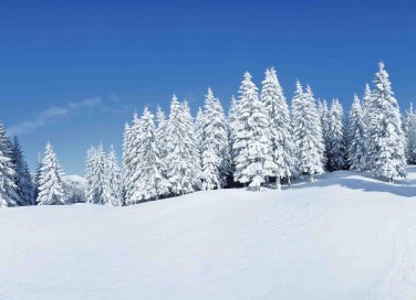 Sognare la neve bianca