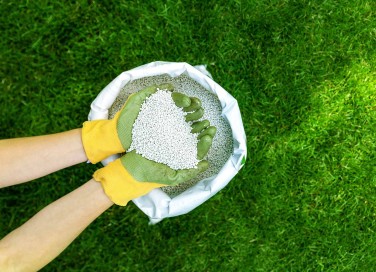 fertilizzanti 