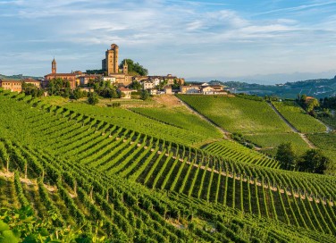 Langhe