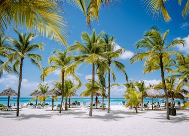 Aruba