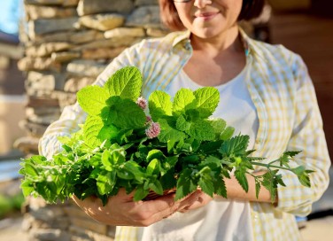 citronella