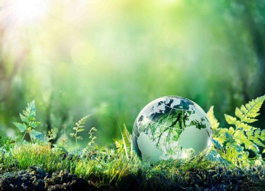 Agenda 2030: obiettivo 15