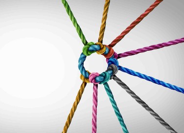 Agenda 2030, obiettivo 17