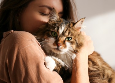 poesie gatti, poesie gatto
