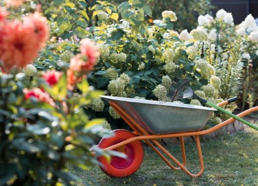 cosa fare nel giardino a settembre, lavori giardino settembre